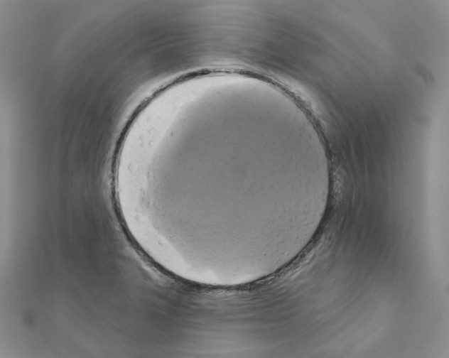 X0000111001327200907311023