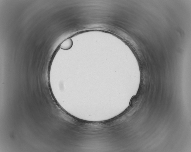 X0000111001328200907311023