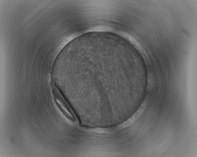 X0000111001329200907311023