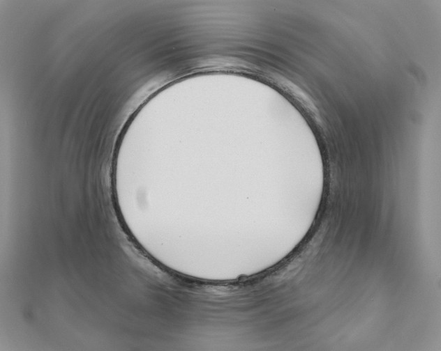 X0000111001330200907311023