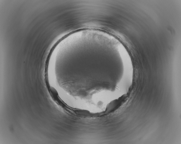 X0000111001331200907311023