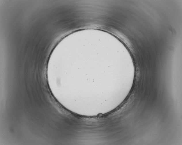 X0000111001332200907311023