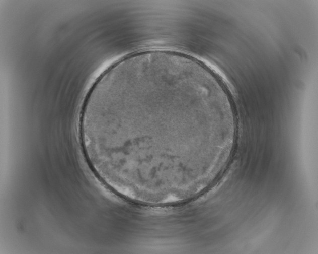 X0000111001333200907311023