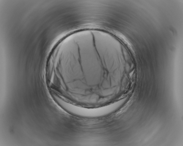 X0000111001334200907311023