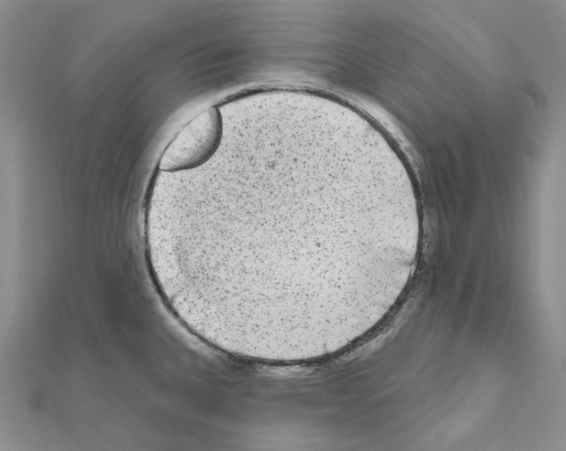 X0000111001335200907311023