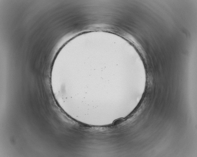 X0000111001336200907311023