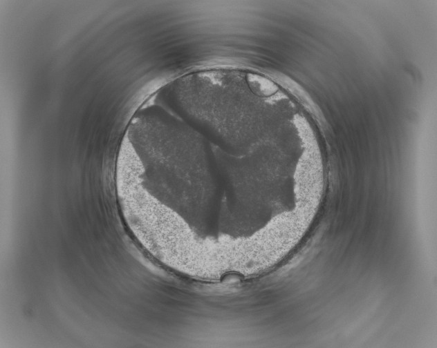 X0000111001337200907311023