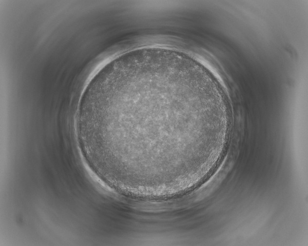 X0000111001338200907311023