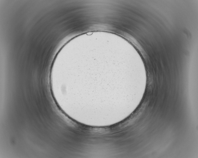 X0000111001339200907311023