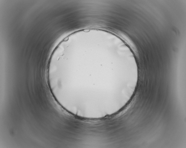 X0000111001340200907311023