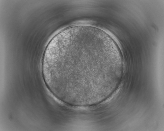 X0000111001341200907311023