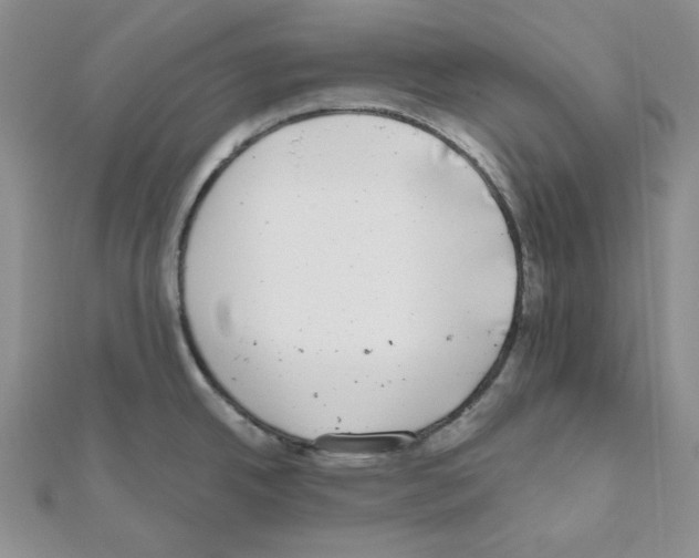 X0000111001342200907311023