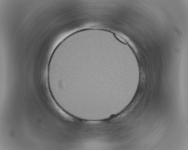 X0000111001343200907311023