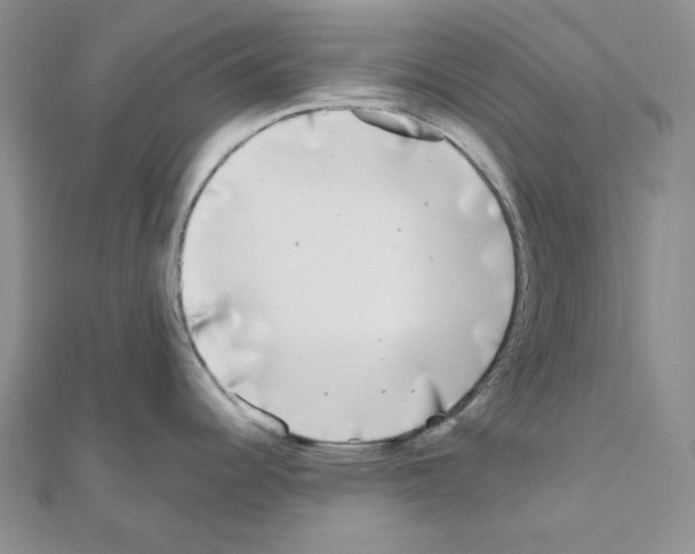 X0000111001344200907311023