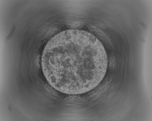 X0000111001346200907311022