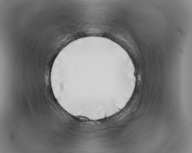 X0000111001348200907311022