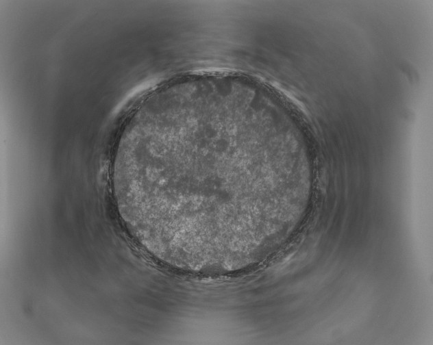 X0000111001351200907311022