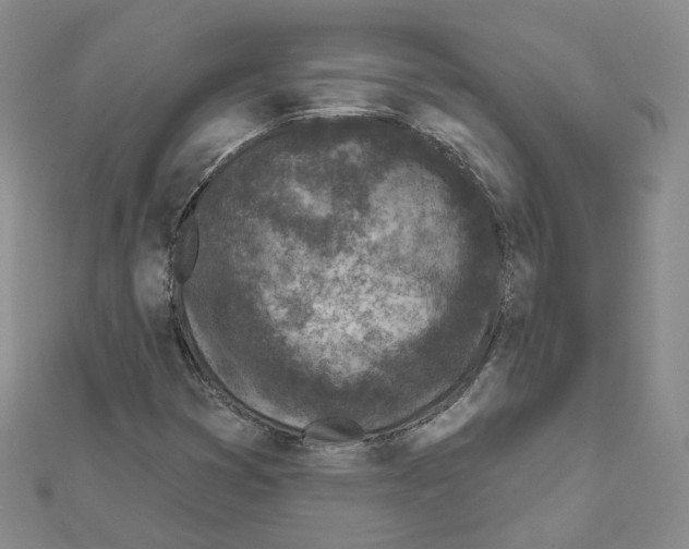 X0000111001353200907311022