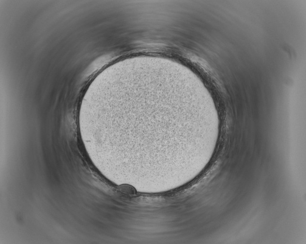 X0000111001354200907311022