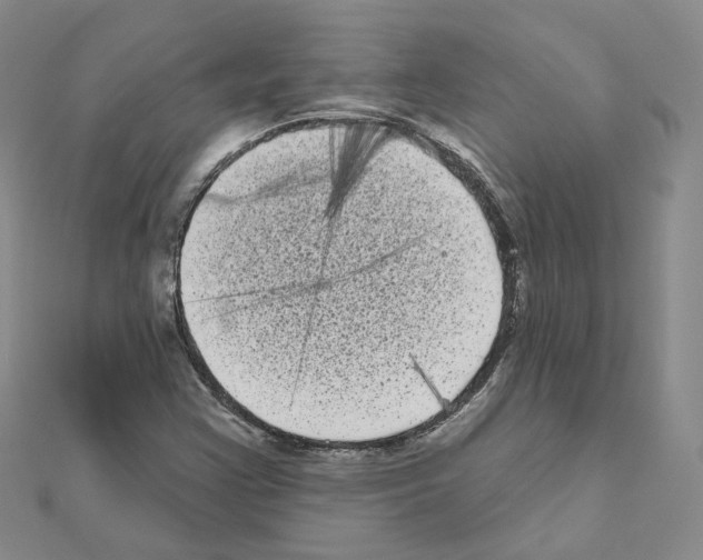 X0000111001355200907311022