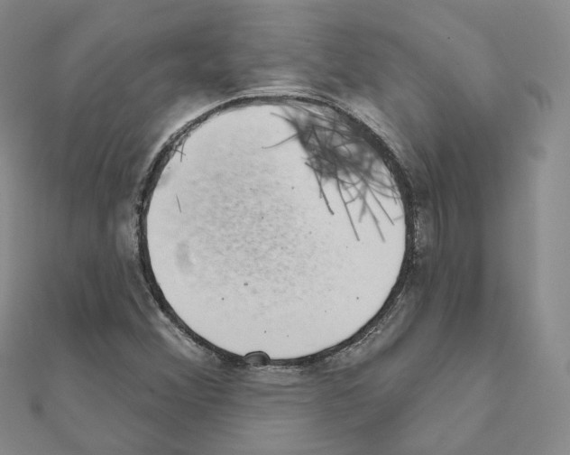 X0000111001356200907311022