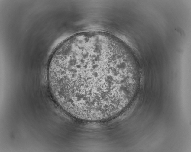 X0000111001358200907311022