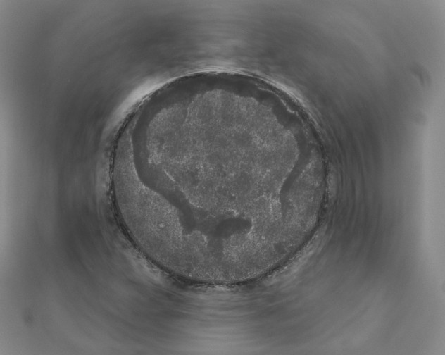 X0000111001359200907311022