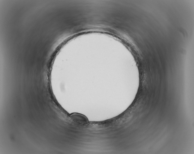 X0000111001360200907311022