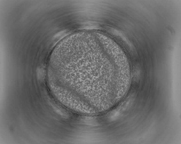 X0000111001361200907311022