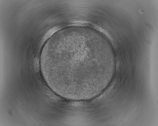 X0000111001362200907311022