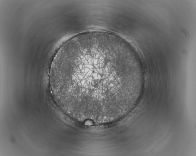 X0000111001363200907311022