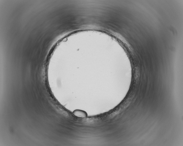 X0000111001364200907311022