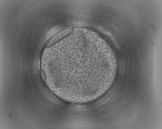 X0000111001365200907311022