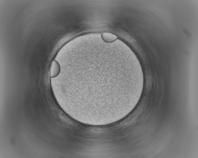 X0000111001366200907311022