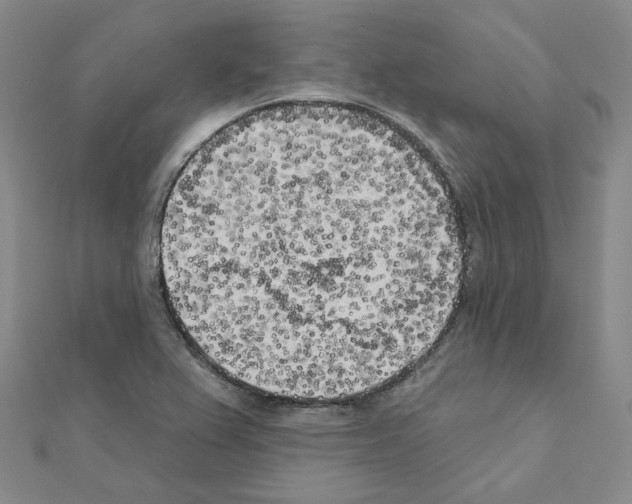 X0000111001367200907311022