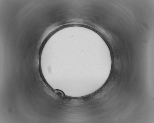 X0000111001368200907311022