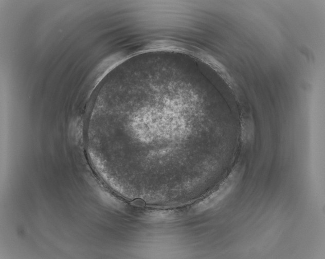 X0000111001369200907311022