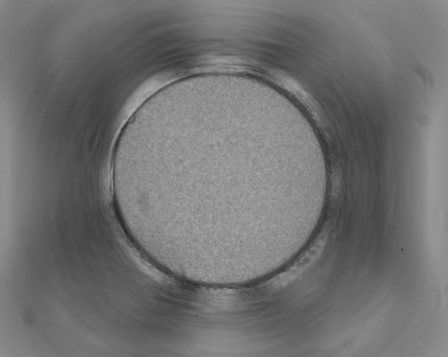 X0000111001370200907311022