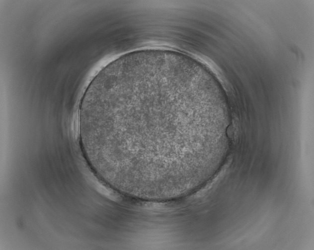 X0000111001371200907311022