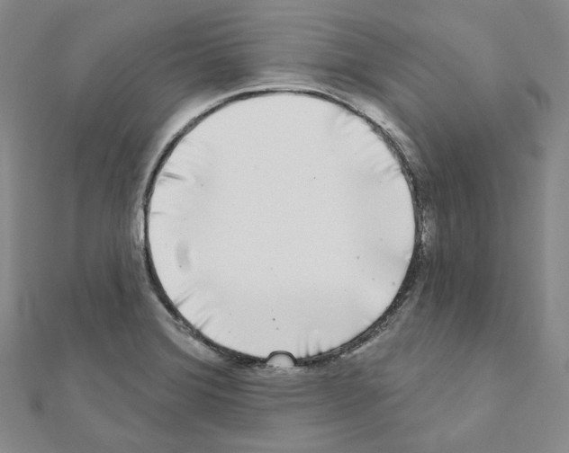 X0000111001372200907311022