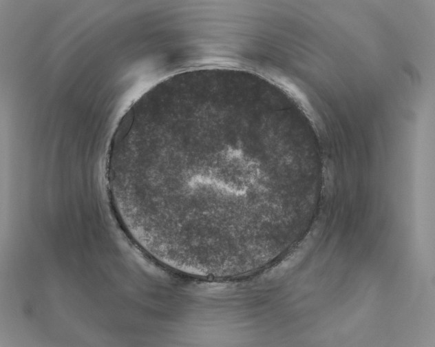 X0000111001373200907311022