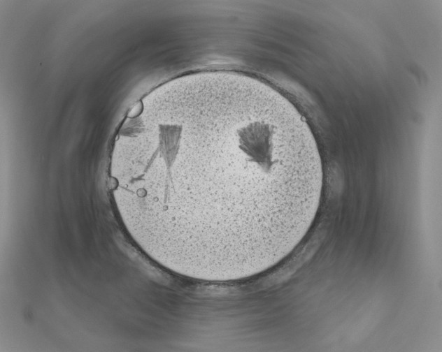 X0000111001374200907311022