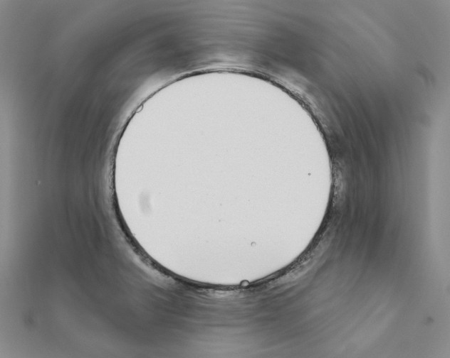 X0000111001375200907311022