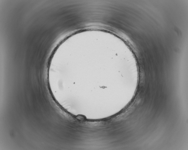 X0000111001376200907311022