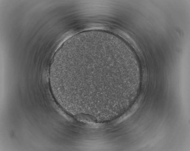 X0000111001377200907311022