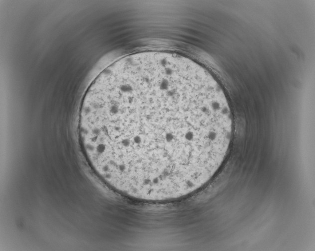 X0000111001378200907311022