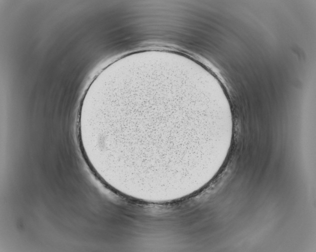 X0000111001379200907311022