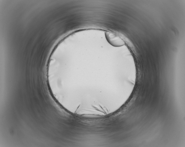 X0000111001380200907311022