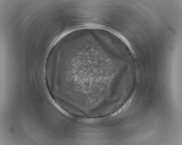 X0000111001381200907311022