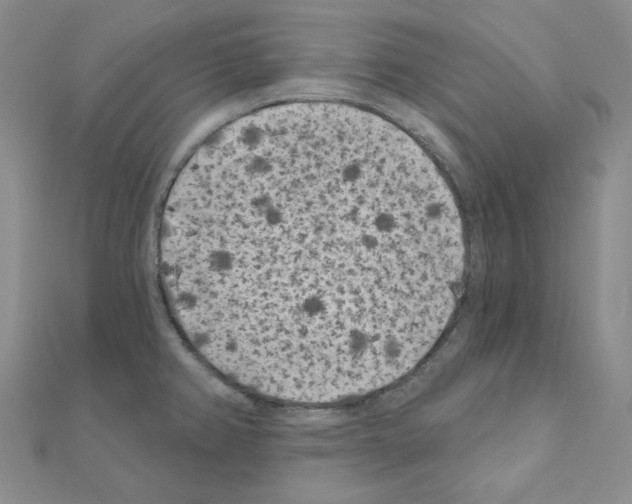 X0000111001382200907311022